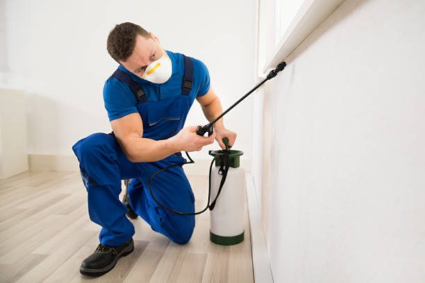 Male worker spraying pesticide on window corner at home